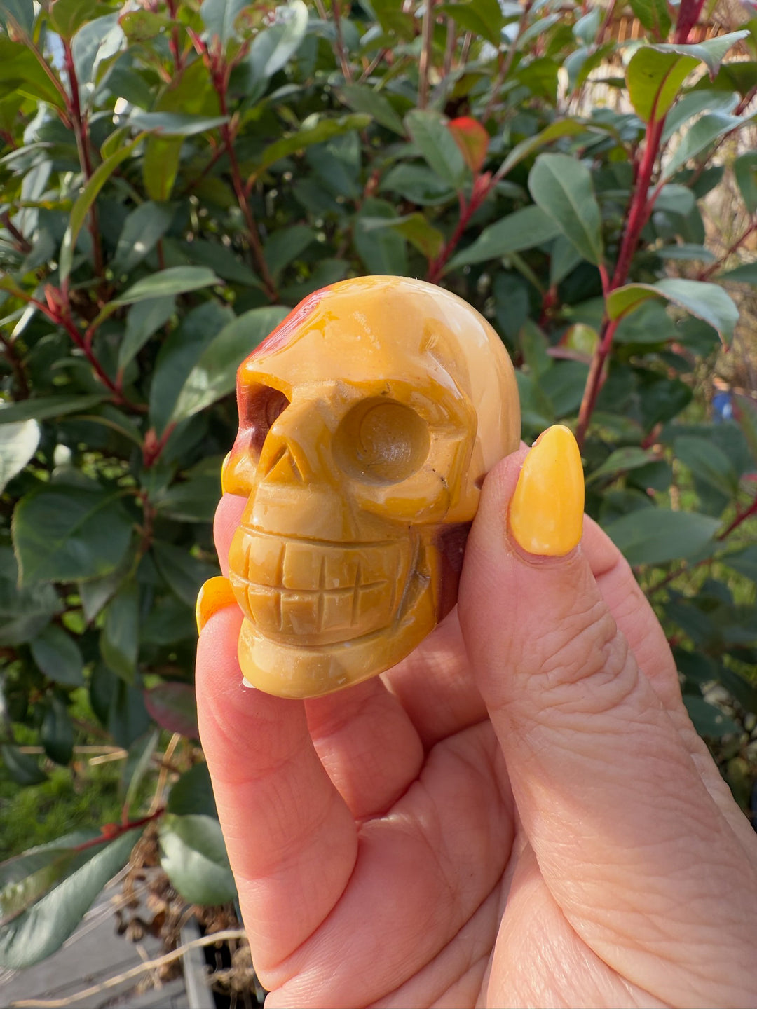 Mookite Skull
