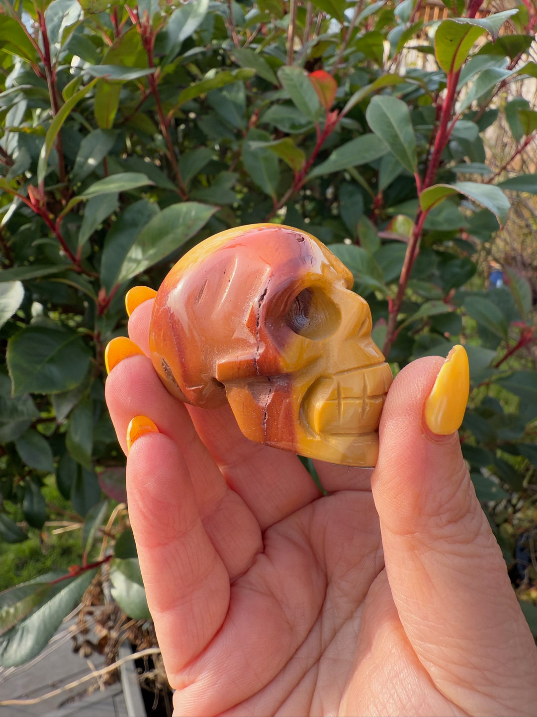 Mookite Skull