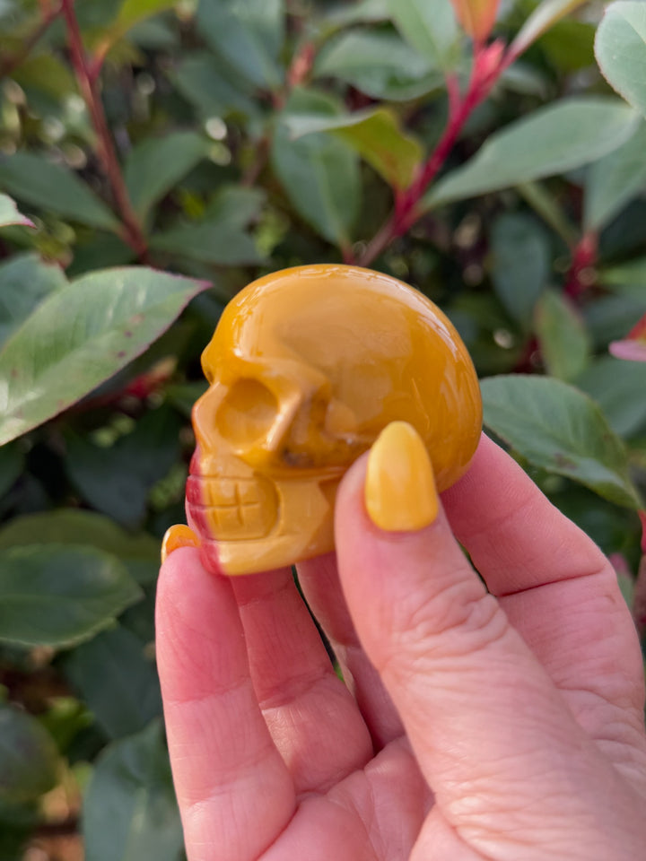Mookite Skull
