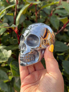 Terrahertz Skull
