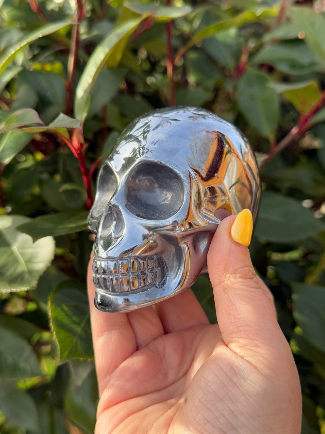 Terrahertz Skull