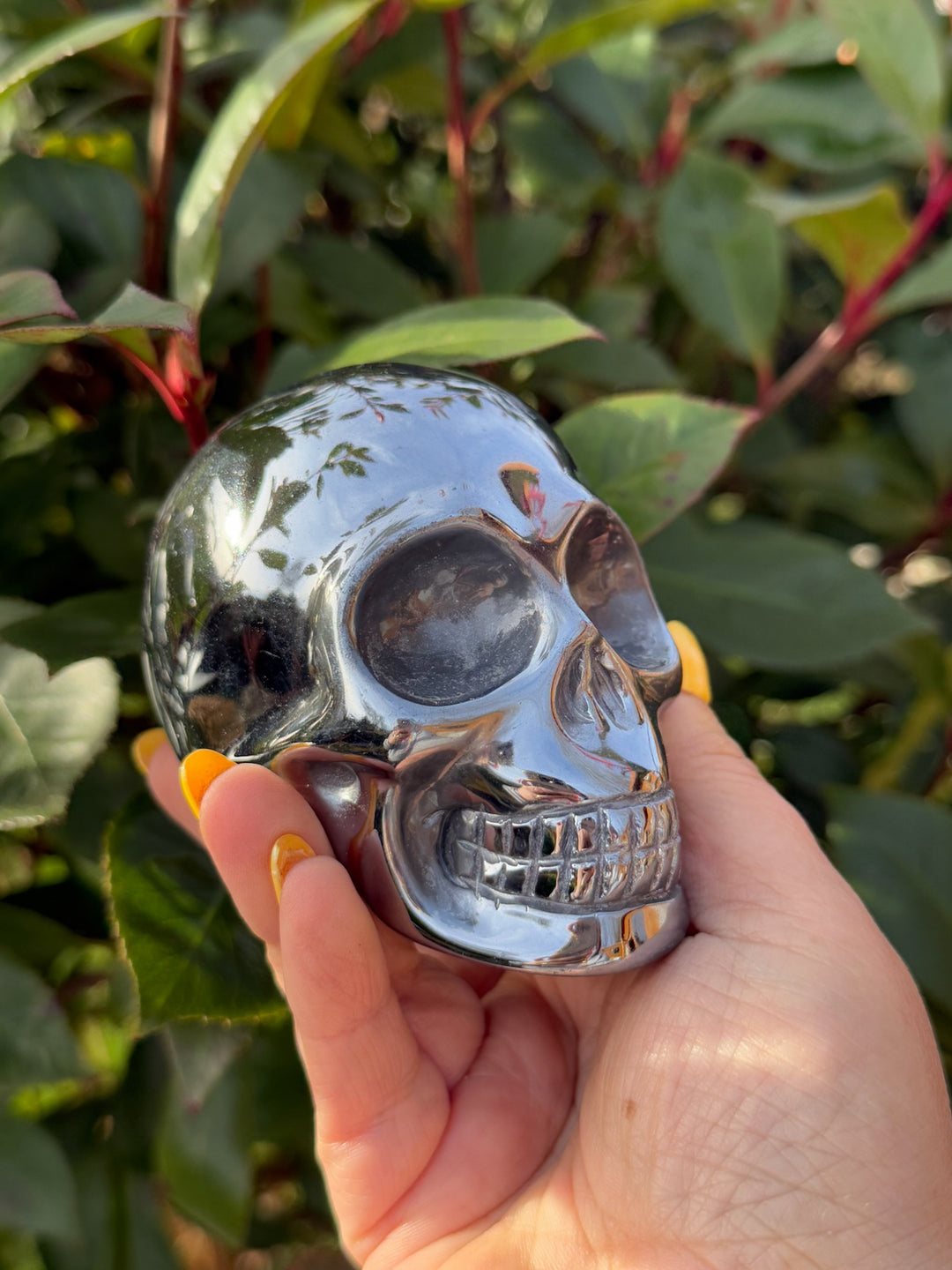 Terrahertz Skull