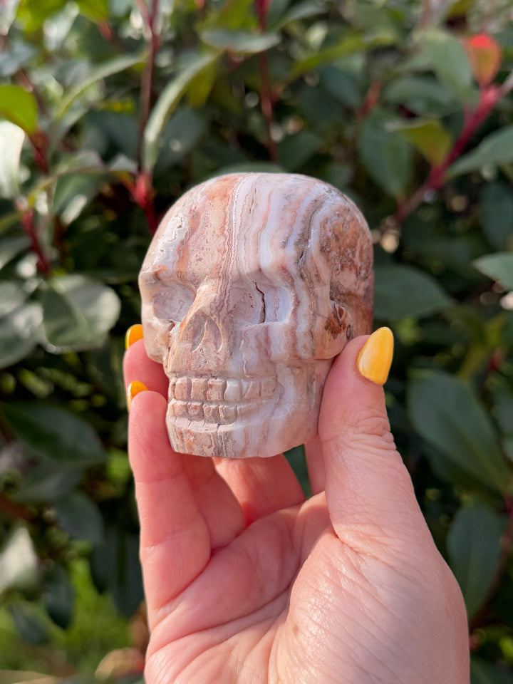 Jasper Carved Skull
