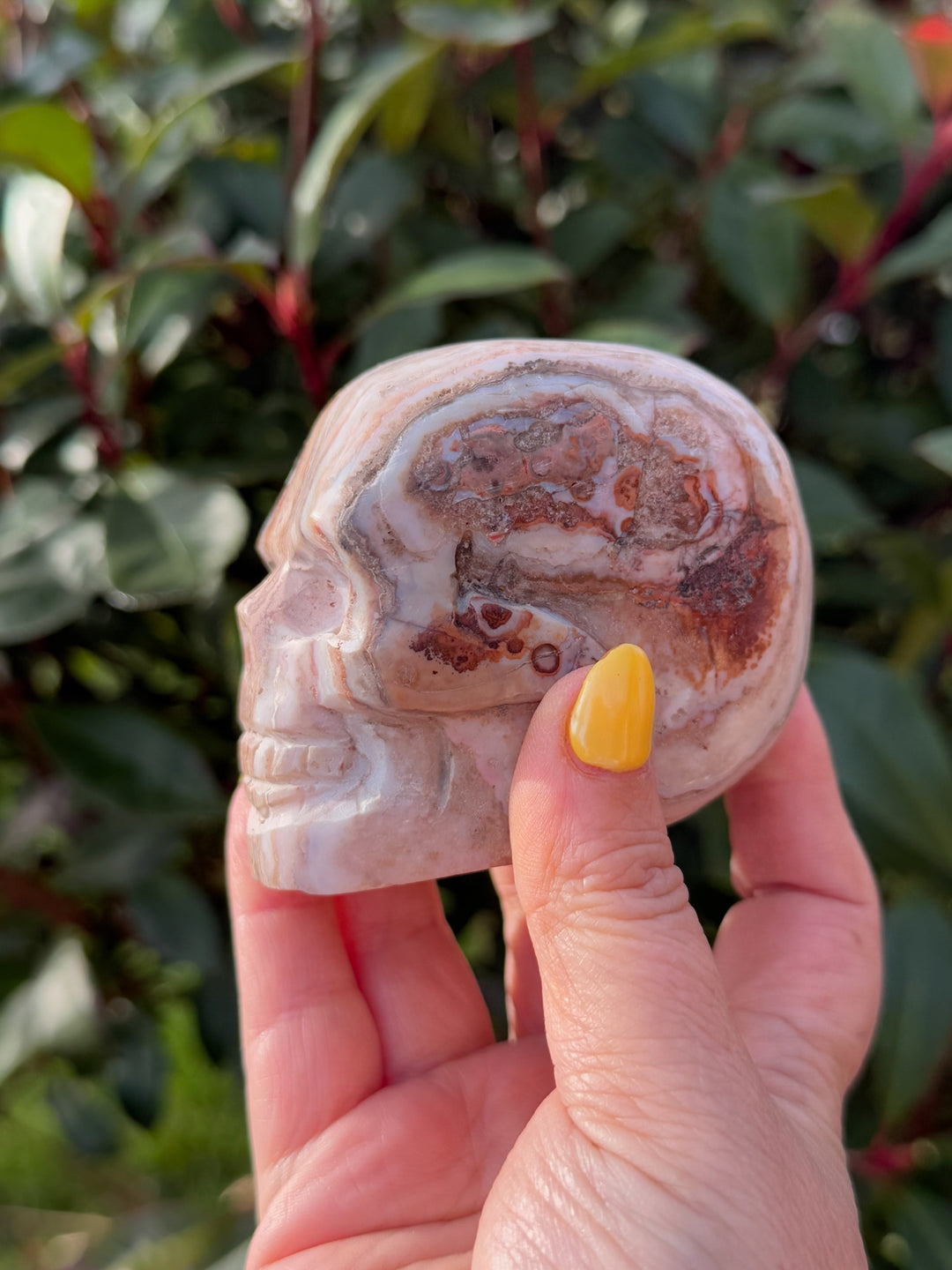 Jasper Carved Skull