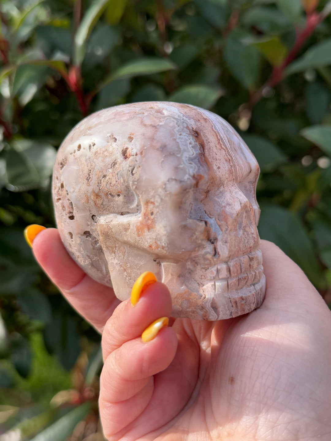 Jasper Carved Skull