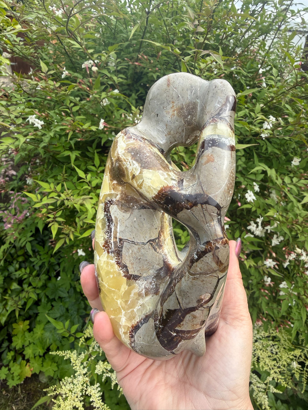 Septarian Thinking Man Object d&