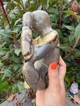 Load image into Gallery viewer, Septarian Thinking Man Object d&#39;art
