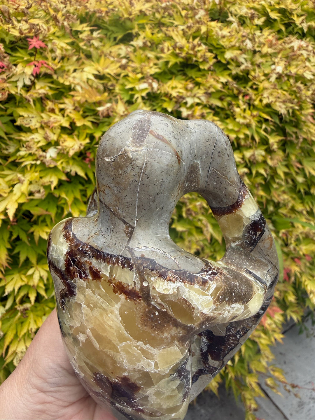 Septarian Thinking Man Object d&