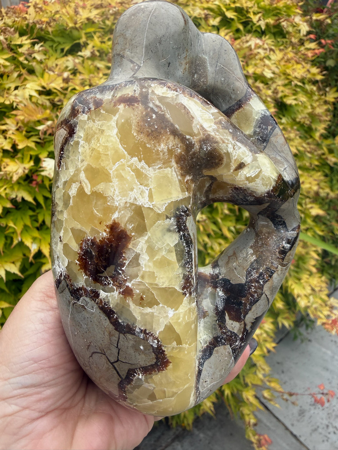 Septarian Thinking Man Object d&