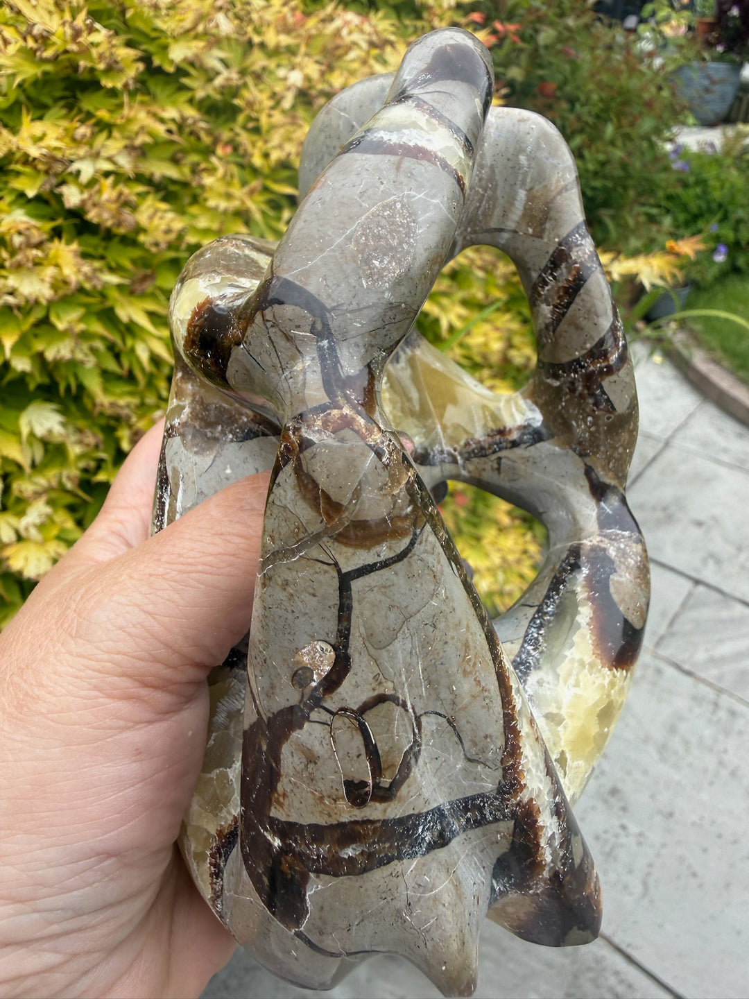 Septarian Thinking Man Object d&