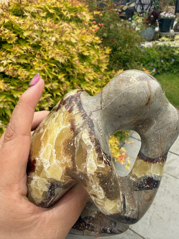 Septarian Thinking Man Object d&