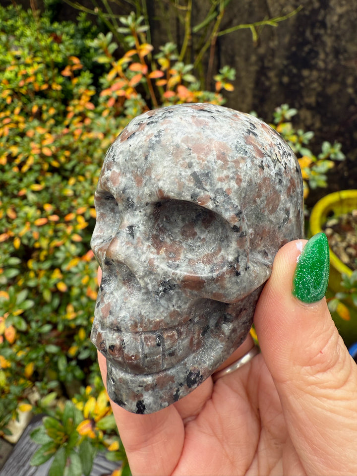 Yooperlite Skull