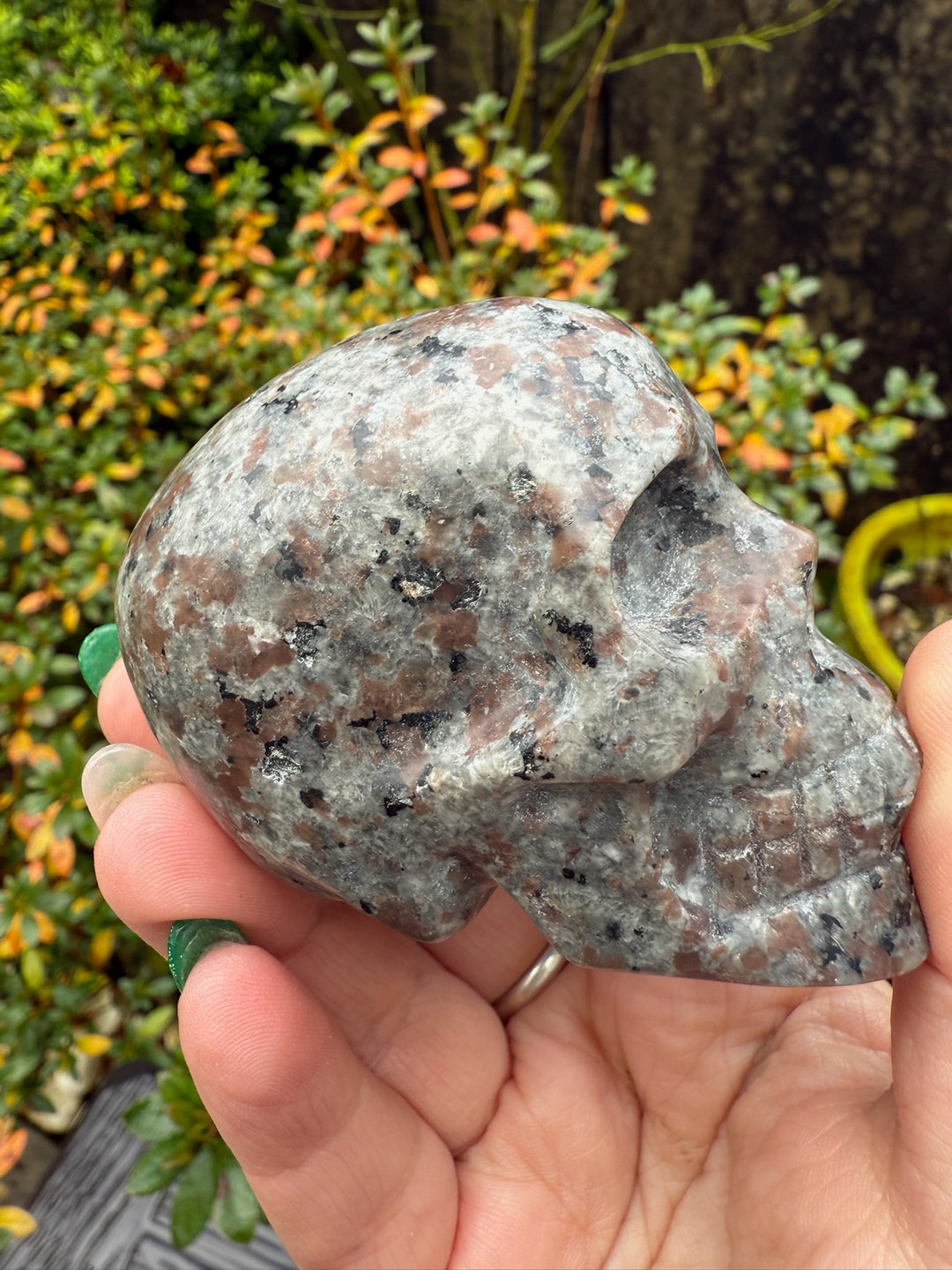 Yooperlite Skull
