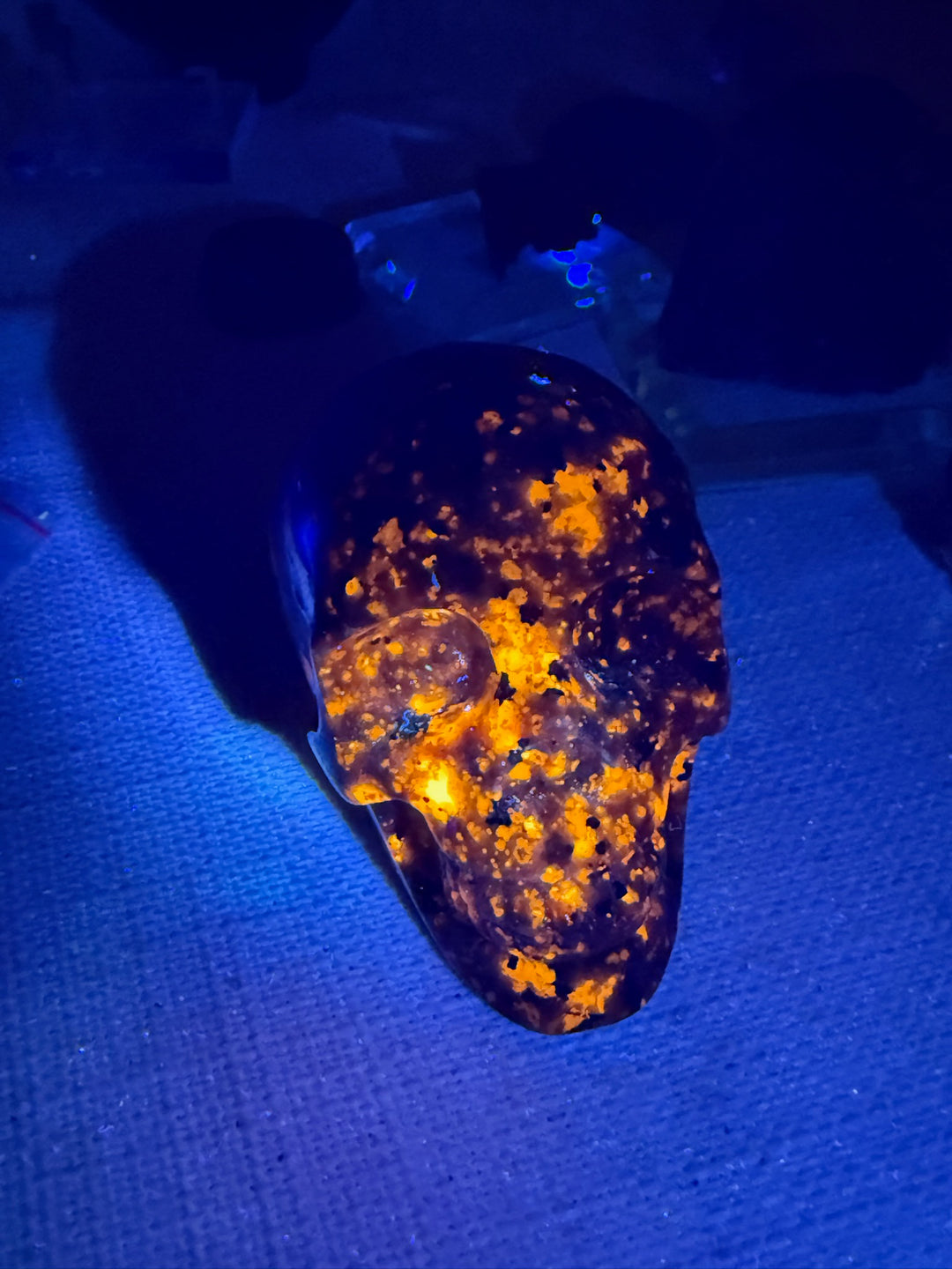 Mohican Yooperlite Skull