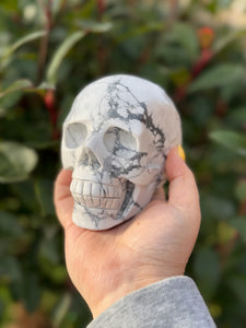 Howlite Skull