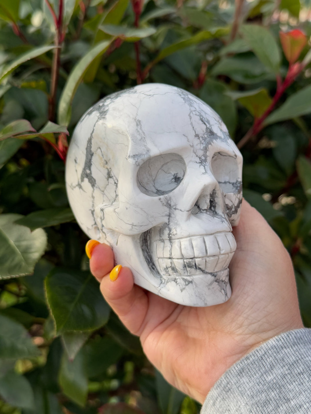 Howlite Skull