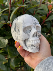 Howlite Skull
