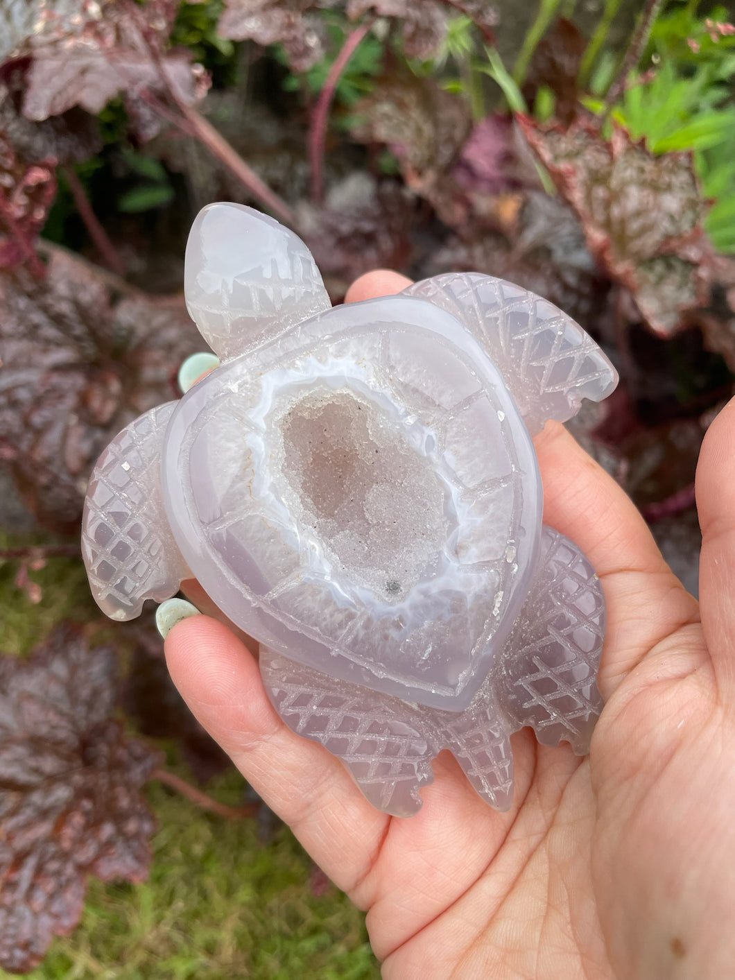 Druzy Agate Turtle Carving