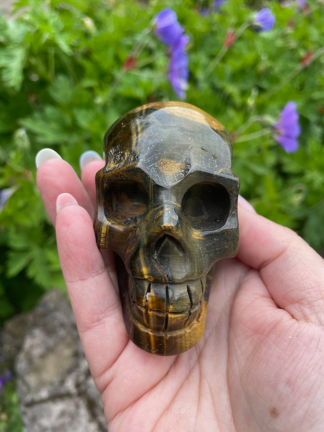 Tigers Eye Skull Carving