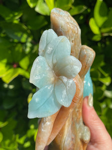 High Quality Blue Calcite and Aragonite Woodpecker Carving