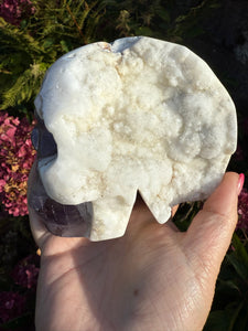 Druzy Super 7 Amethyst Skull Carving