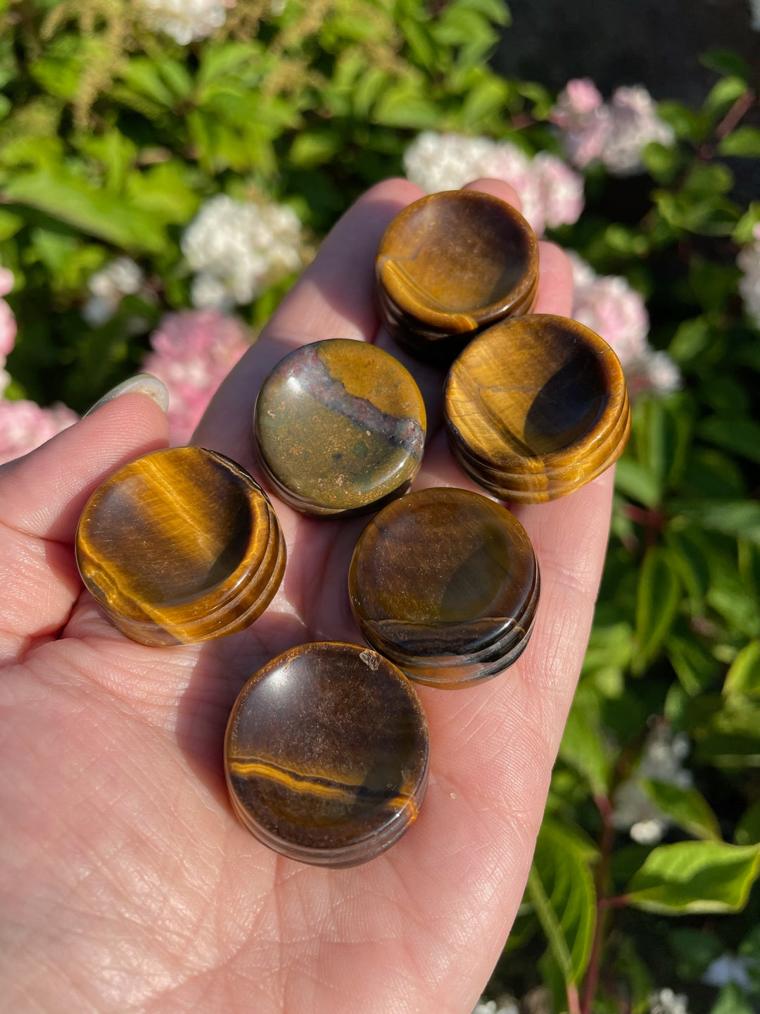 6 Tigers Eye Sphere Stands