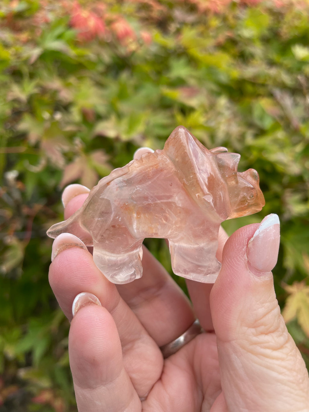 Fire Quartz Triceratops Dinosaur Carving