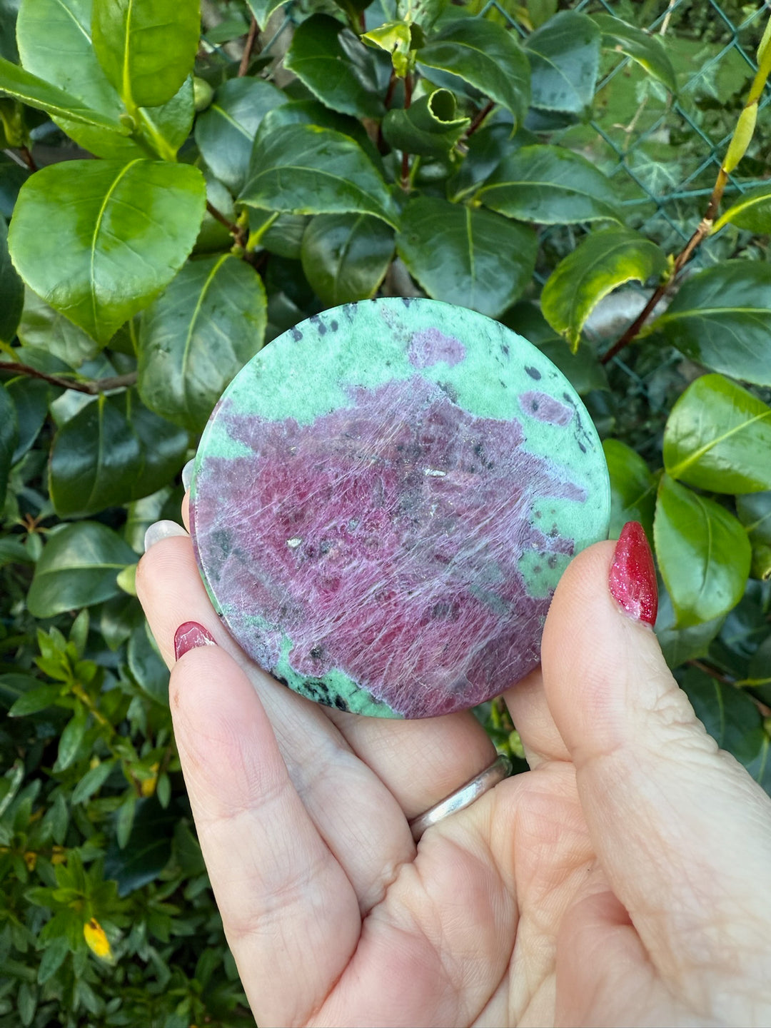 Ruby in Zoisite Disc Plate Carving