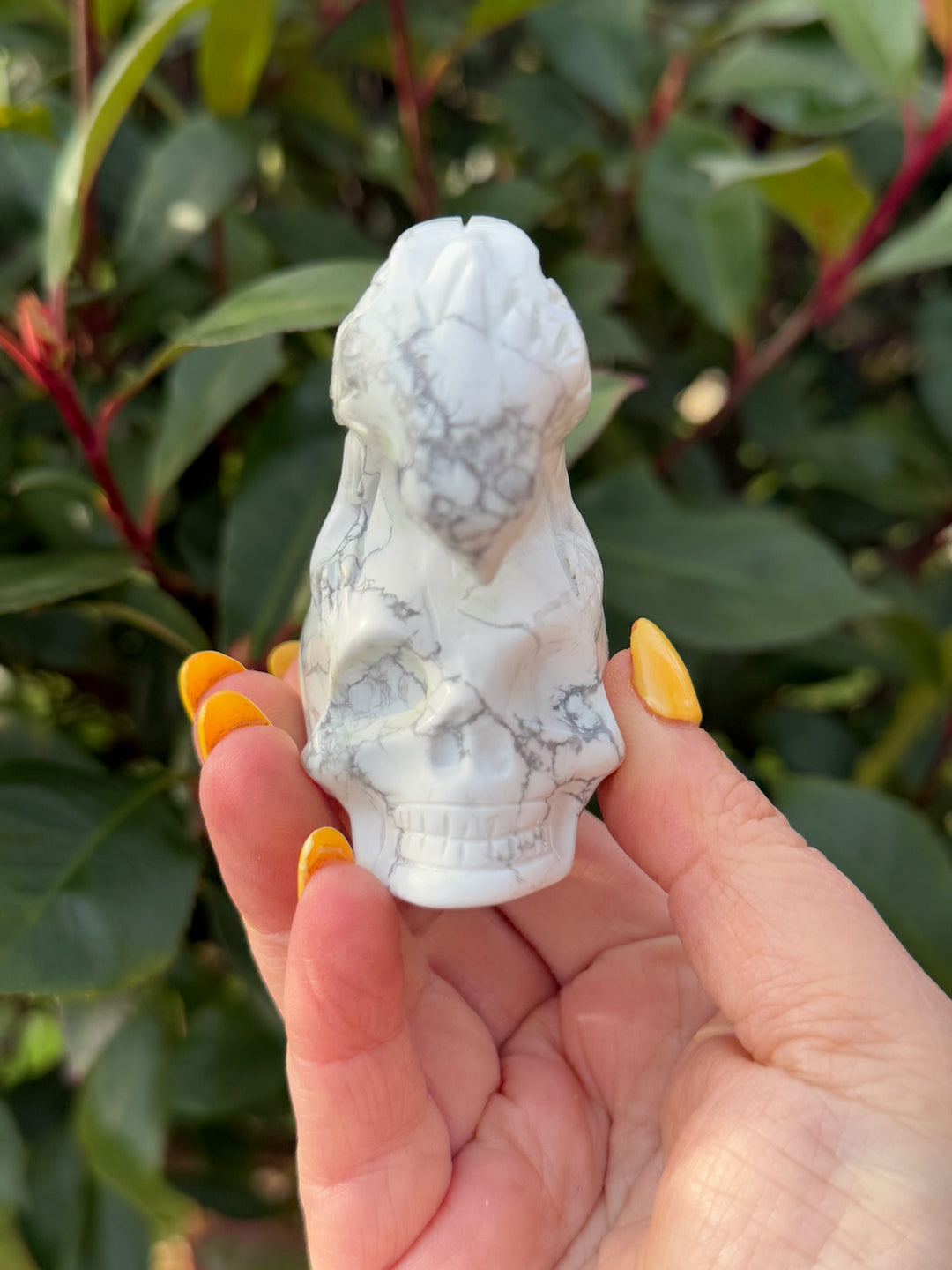Howlite Skull and Raven Skull Carving