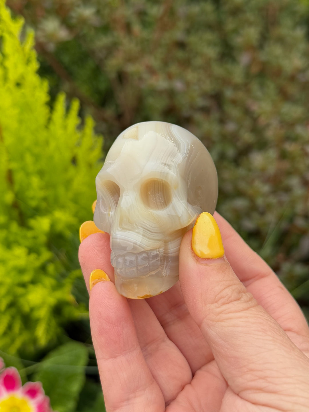 Agate Skull