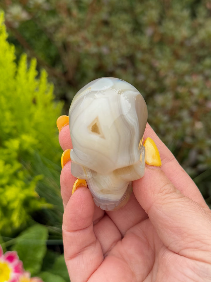 Agate Skull
