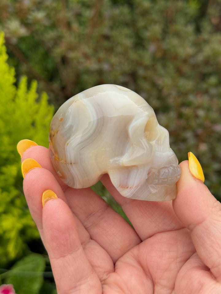Agate Skull
