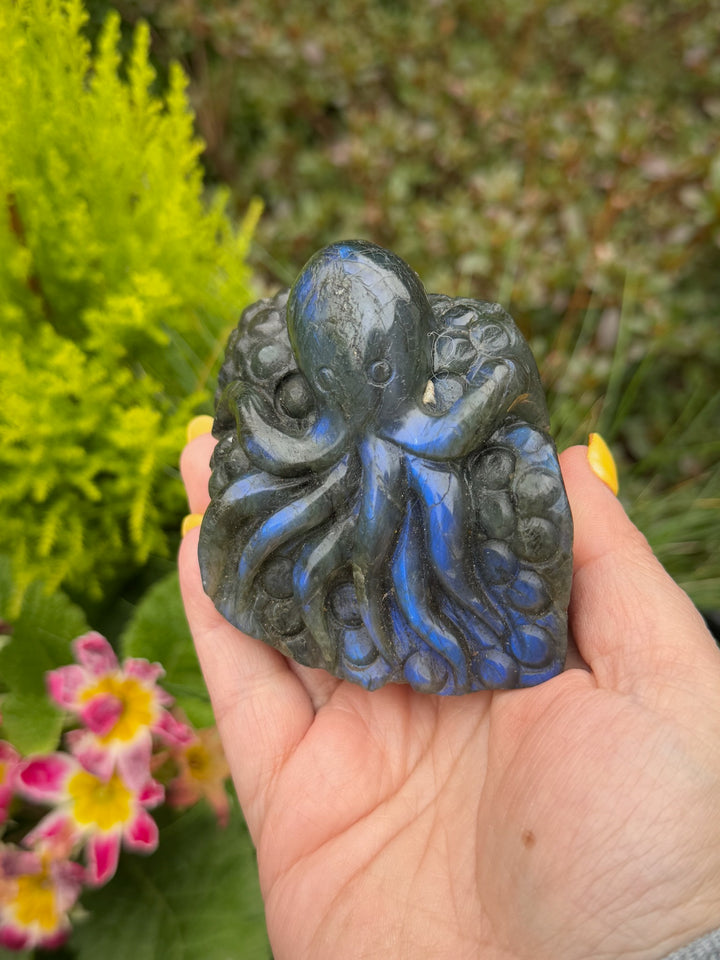 Blue Flash Labradorite Octopus Carving
