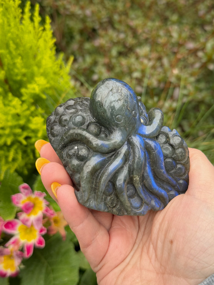 Blue Flash Labradorite Octopus Carving
