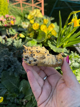 Load image into Gallery viewer, Picture Jasper Dragon Head Carving
