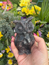 Load image into Gallery viewer, Large Garnet and Arfvedsonite Owl Carving
