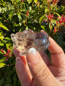 Smoky Quartz Pixiu Carving Feng Shui