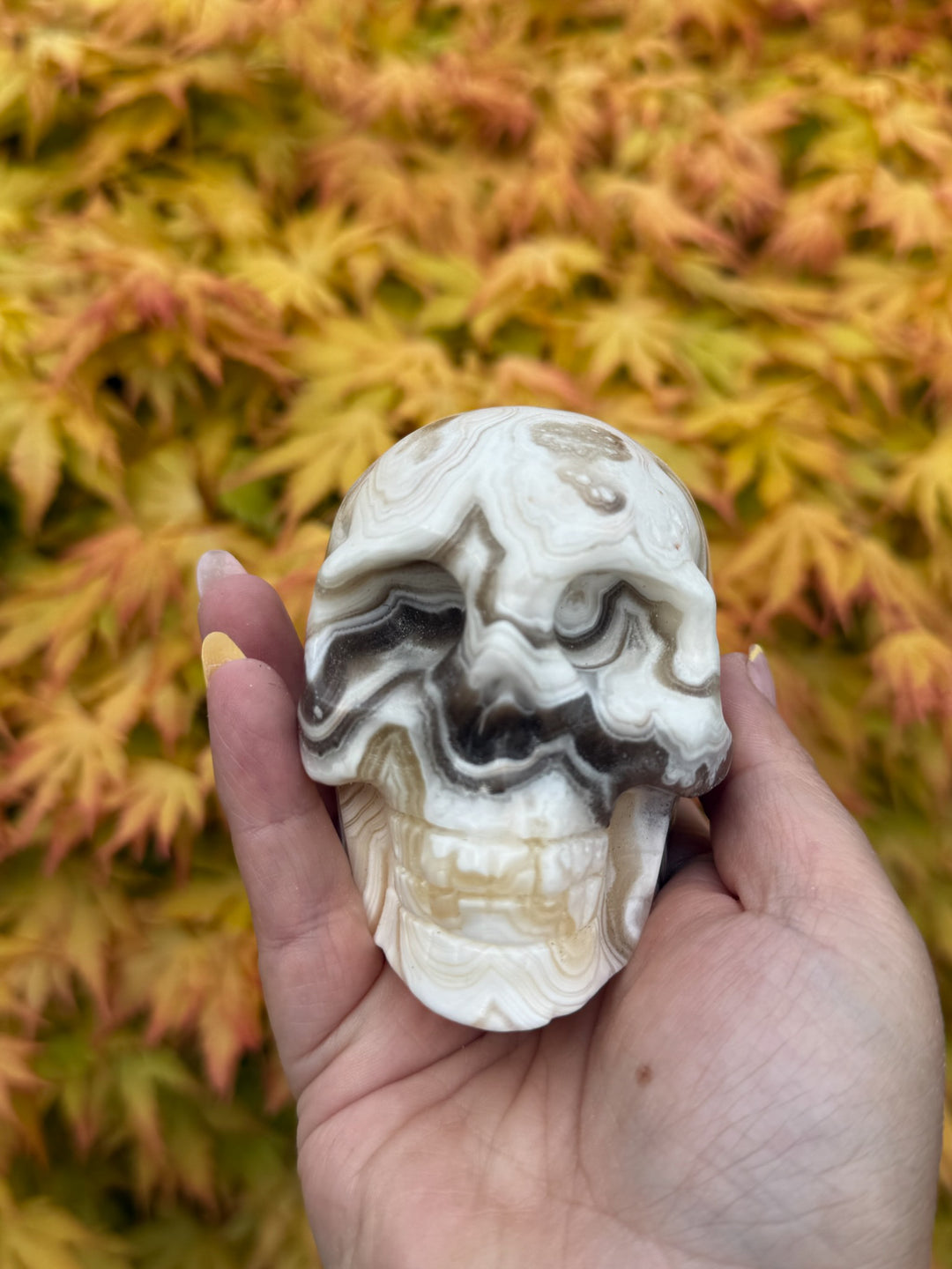 Large Chocolate Calcite Skull Carving