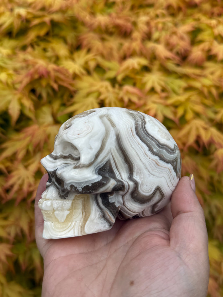 Large Chocolate Calcite Skull Carving