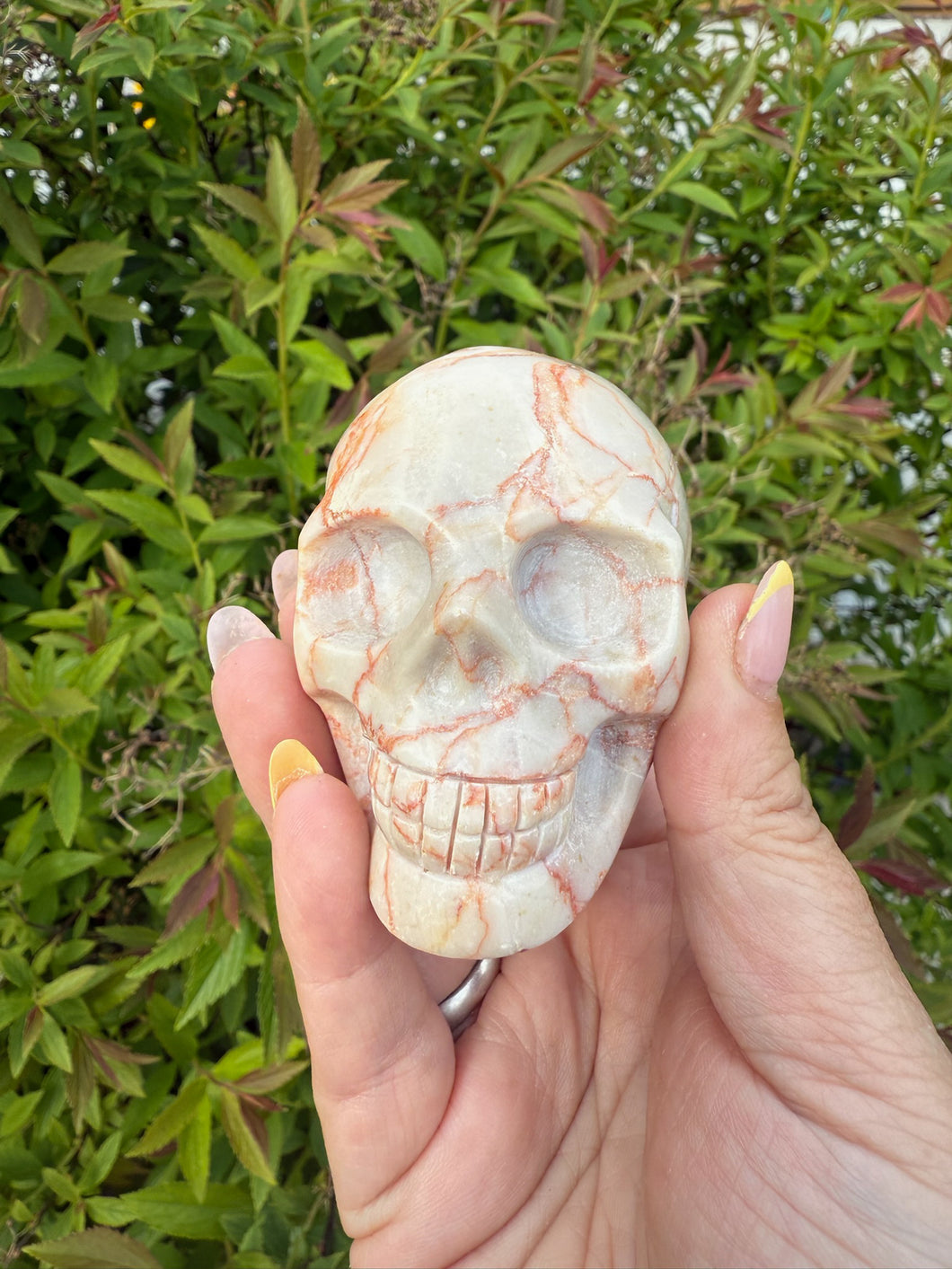 Red Vein Jasper Skull Carving