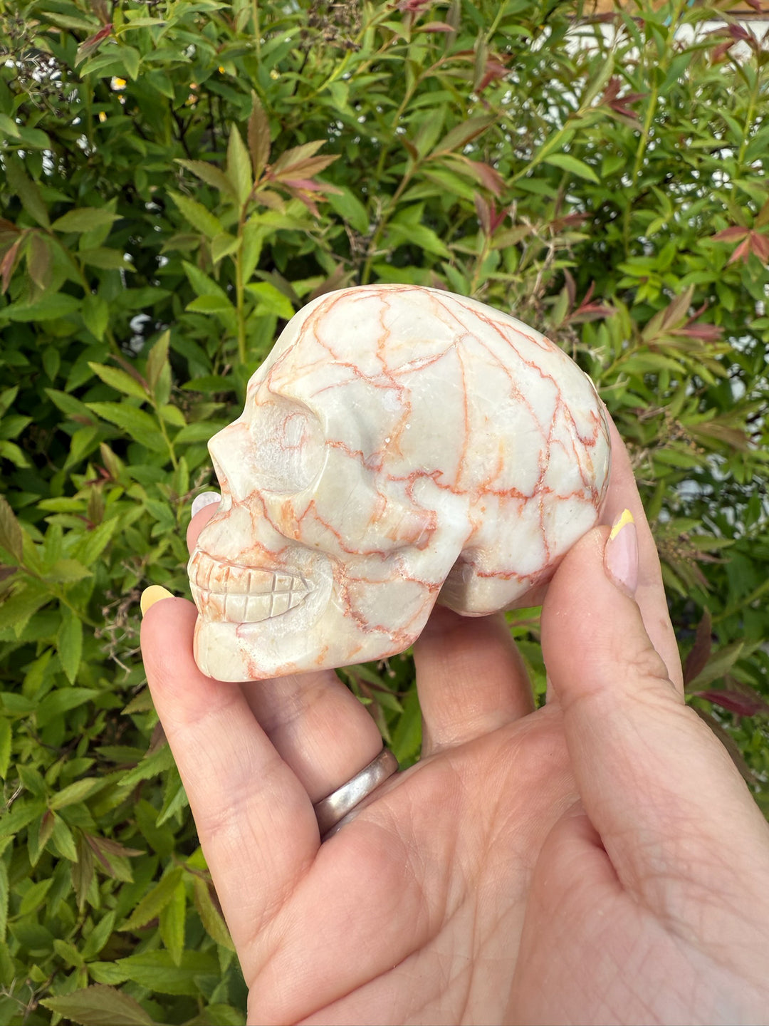 Red Vein Jasper Skull Carving