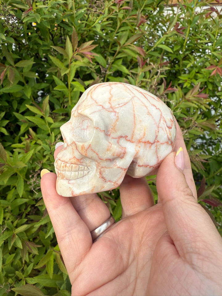 Red Vein Jasper Skull Carving