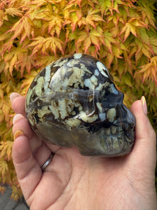 Uv Reactive Volcano Agate Skull Carving with Druzy