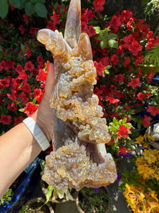 Large 8th Vein Ocean Jasper Phoenix Carving