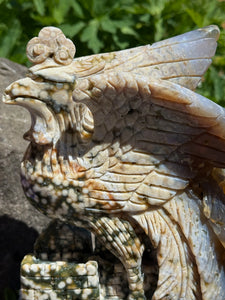 Large 8th Vein Ocean Jasper Phoenix Carving