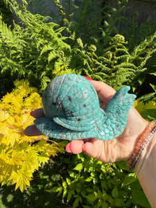 Large Amazonite Snail Carving