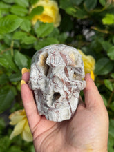 Load image into Gallery viewer, Mexico Crazy Lace Agate Skull Carving
