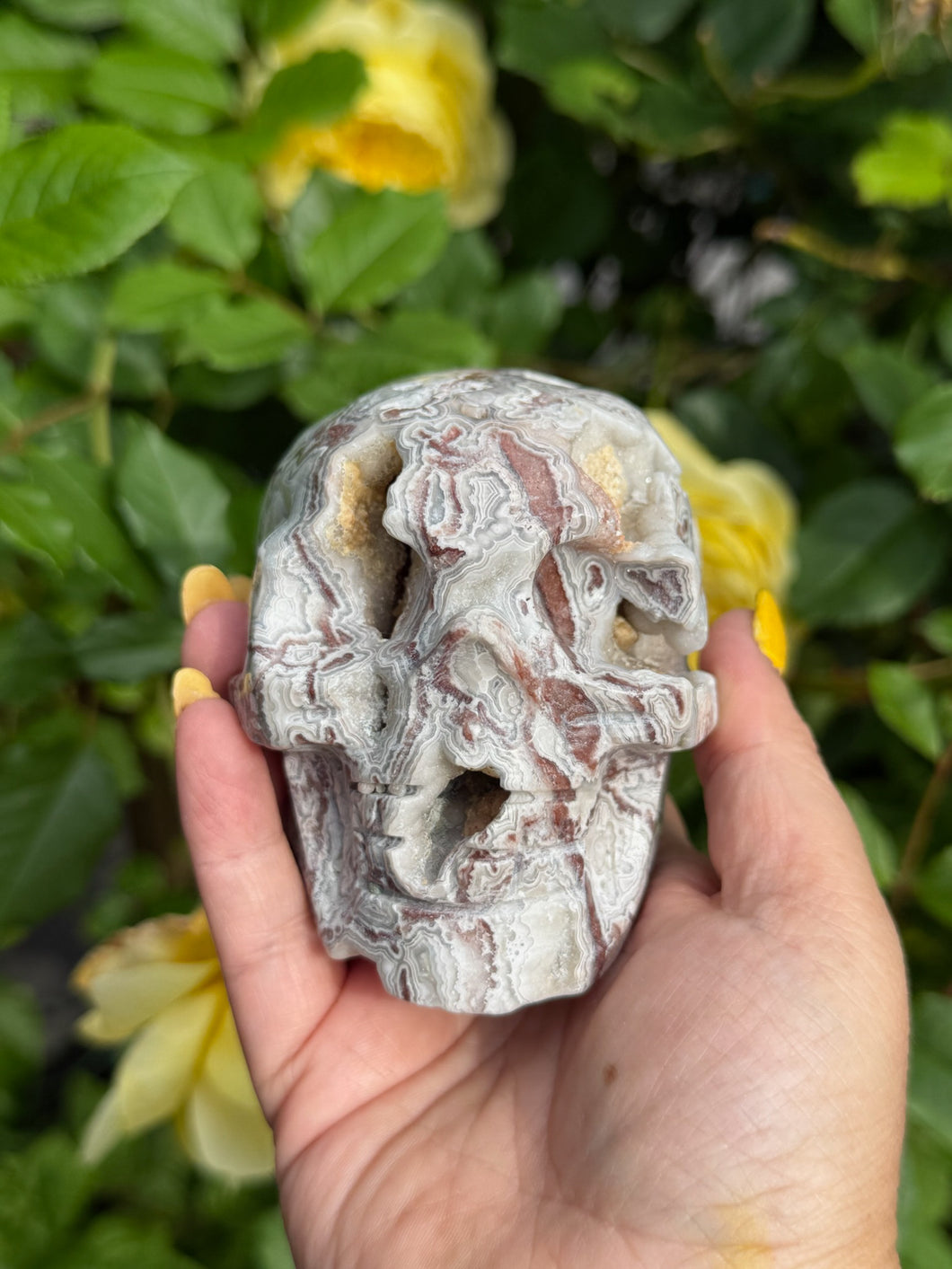 Mexico Crazy Lace Agate Skull Carving