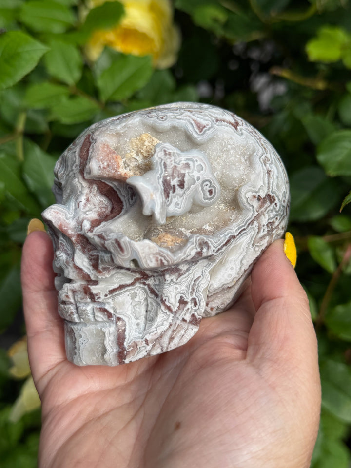Mexico Crazy Lace Agate Skull Carving