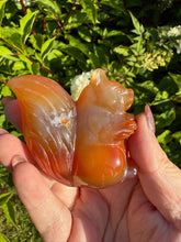 Load image into Gallery viewer, Druzy Carnelian Red Squirrel Carving
